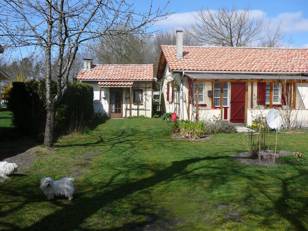 Guesthouse La Burle Parentis-en-Born Pokoj fotografie